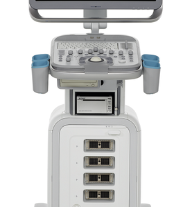 Siemens Acuson NX2 Demo